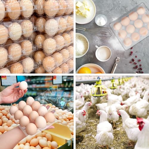 150 Pack Bulk Egg Cartons (150 Pack Egg Cartons 12 Grids 3x4)