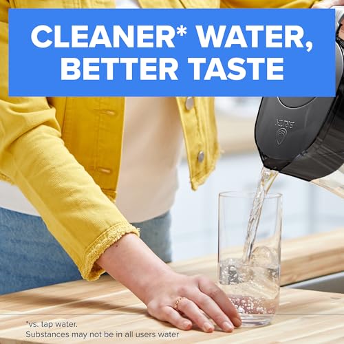 Small 6 Cup Water Filter Pitcher (6 Cup / White)
