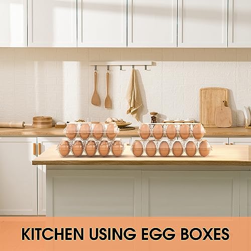 Egg Cartons Cheap Bulk 100 Pack (100Pack-2x6 Grids)