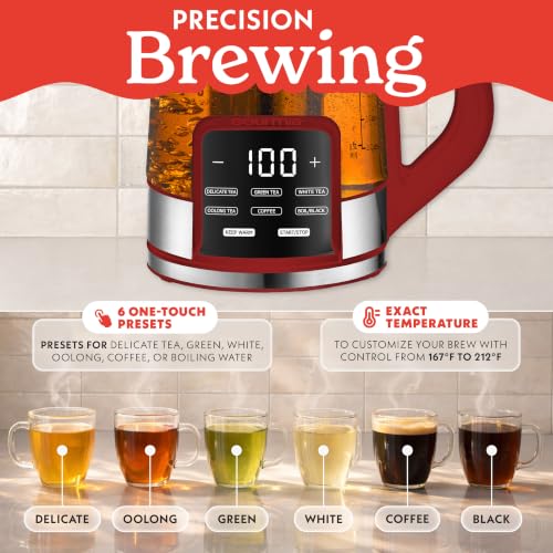 Electric Glass Kettle (Red)