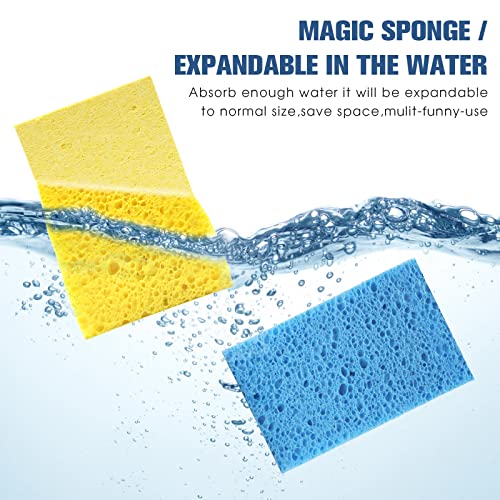 Compressed Cellulose Kitchen Sponges 24Pack (Large(Pack of 24))
