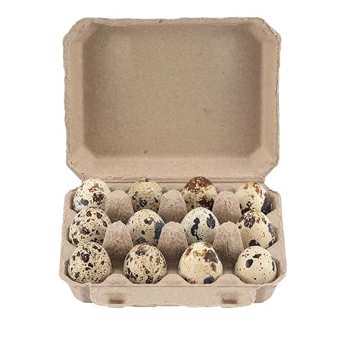 30 Pcs Quail Egg Cartons Paper Pulp Egg Basket