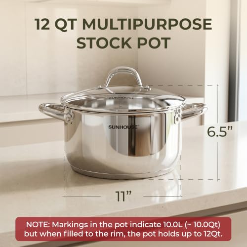 12 Quart Stock Pot with Lid