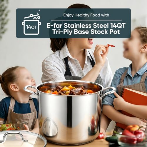 14 Quart Stainless Steel Stock Pot with Lid (14 Quarts)