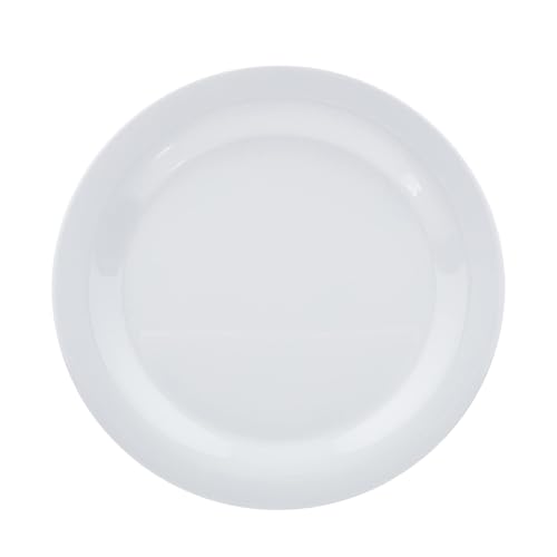 Melamine Dinner Plates for Restaurants and Home (Textured Plate / 10.5 in (Pack of 1))