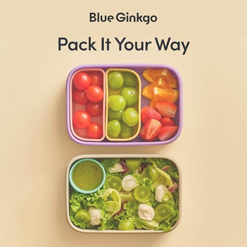 Bento Style Silicone Lunch Box Set (Gray)
