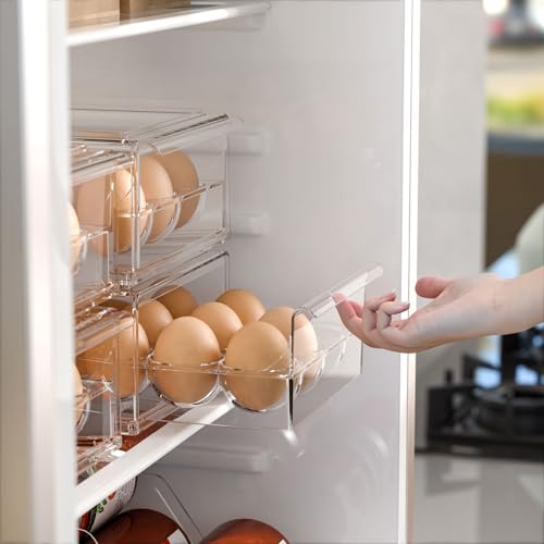 Egg Storage for Refrigerator (Modern)