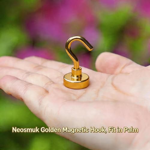 Magnetic Hooks (Gold / 0.67 inches)