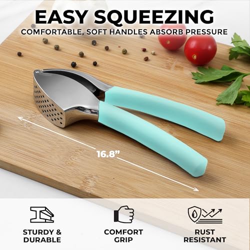 Metal Comfort Grip Garlic Press (Breeze Blue)