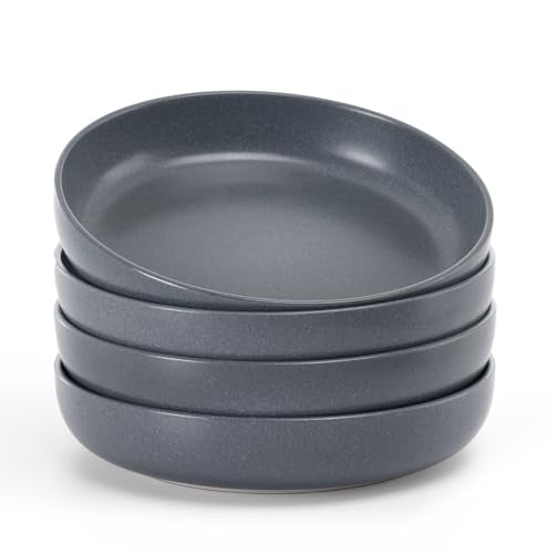 Milkyway 33 oz Pasta Bowls Set of 4 (Matte Dark Charcoal / Set of 4)