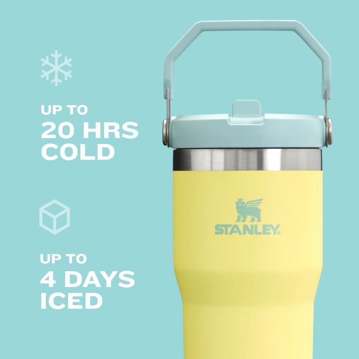 IceFlow Flip Straw Tumbler with Handle 30 oz (Tigerlily Plum / 30 Ounces)