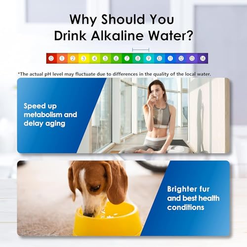 WFD-22L-A Alkaline Water Filter Dispenser, Large 40-Cup, Black (Black)