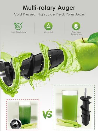 Cold Press Juicer for Celery Carrot Orange (Black)