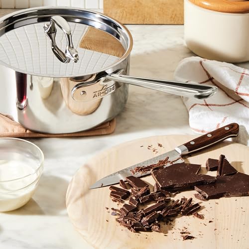 D3® Stainless Steel 1 Qt Saucepan with Lid (1 Qt Saucepan with Lid)