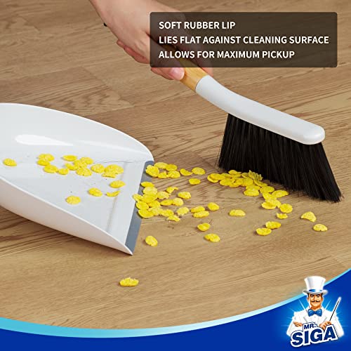 Dustpan and Brush Set (White)