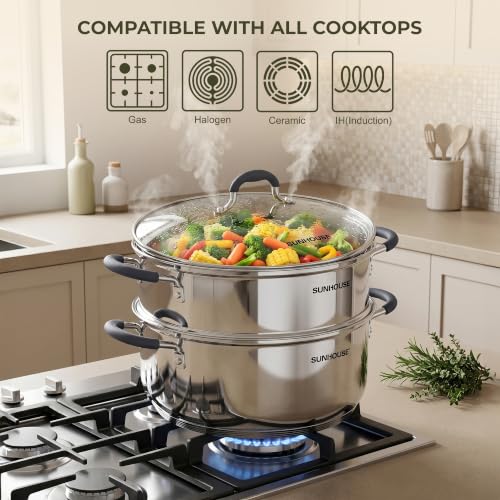 3.1 QT Stainless Steel Steamer Pot for Cooking Vegetables (3.1 Quarts)