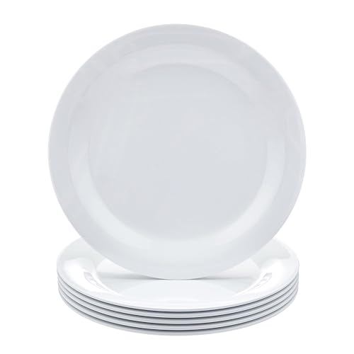 Melamine Dinner Plates for Restaurants and Home (Textured Plate / 10.5 in (Pack of 1))