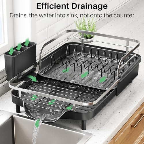 Expandable Dish Drying Rack for Kitchen Counter (Black)