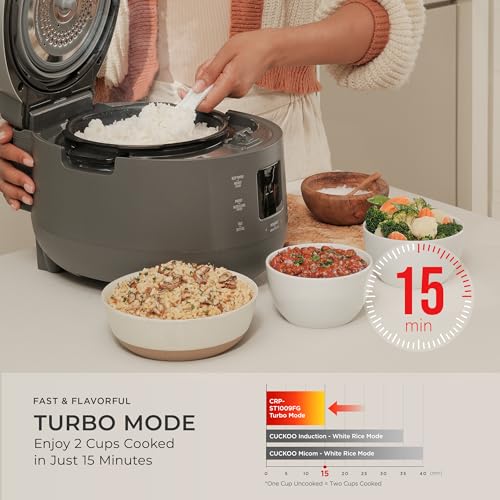 Twin Pressure Rice Cooker (10 Cup / Gray)