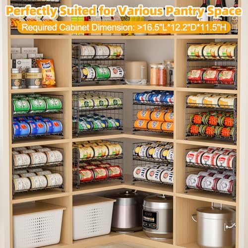 2 Pack Stackable Rack Organizer (2 Tier-2 Pack)