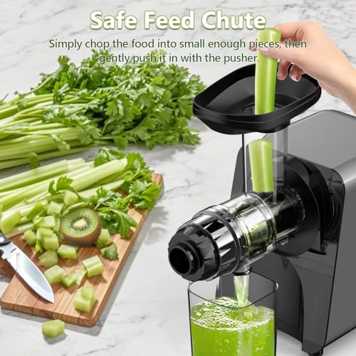Masticating Juicer Machine 250W (Silver)
