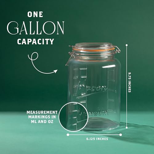 1 Gallon Glass Jar with Hinged Clamp (1 Gallon)