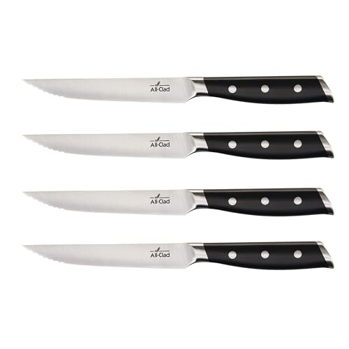 Forged German Stainless Steel Steak Knife Set (Silver/Black / 4-Piece Knife Set)