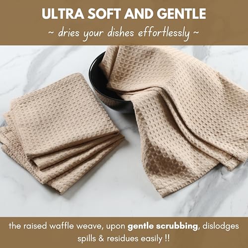 Cotton Kitchen Towel with Hanging Loop 16x26 inches (Set of 6 / Beige)