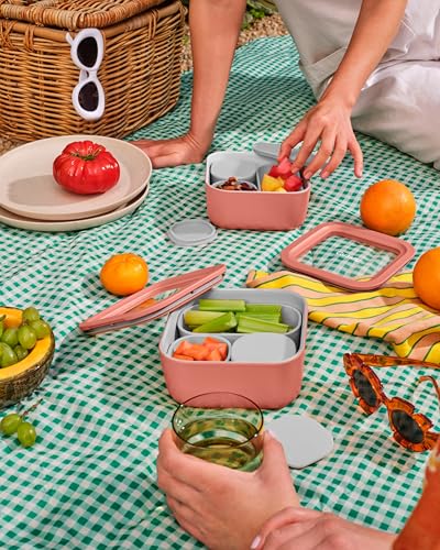 6 Piece Glass Food Storage Container Set (Navy / 4.4 Cup Food Storage (6x))