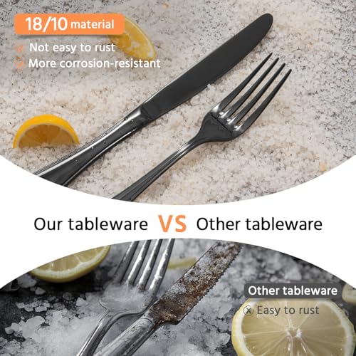 18 10 Stainless Steel Silverware Set for 12 (Black / 60-Piece)