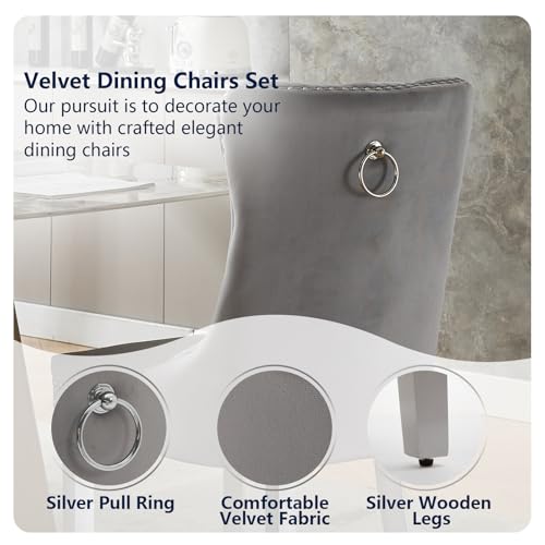 Grey Velvet Dining Chairs Set of 2 (Light Gray)