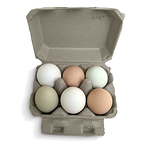 Half Dozen Blank Egg Cartons (Tan / 20)