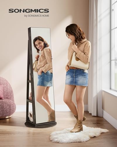6 LEDs Mirror Jewelry Cabinet Organizer (Ash Brown + Black / 14.6" Mirror)