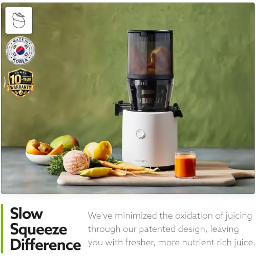 H320 Cold Press Juicer Machine (Black Slow Juicer)