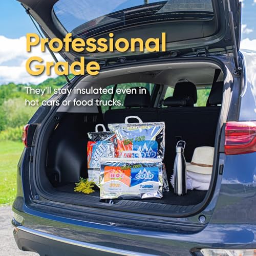 Hot and Cold Insulated Bags for Food Delivery (Small (Meal Size) / Silver)