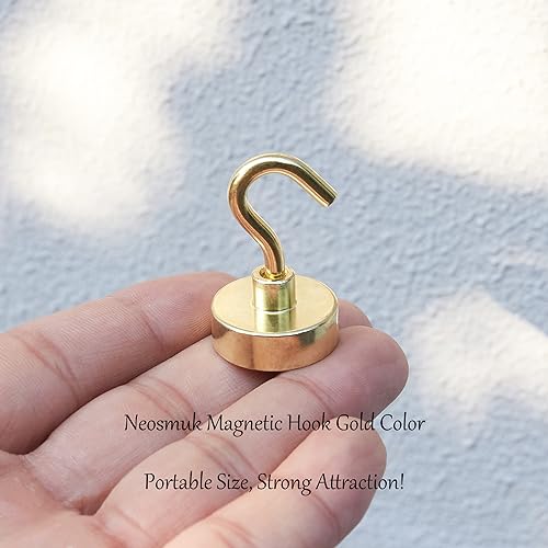 Magnetic Hooks (Gold / 0.83 inches)