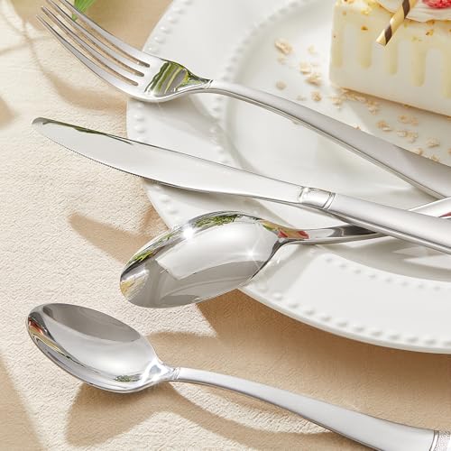 20 Piece Flatware Set (20-Piece / Matte Silver)
