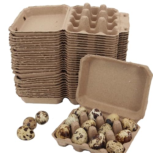 30 Pcs Quail Egg Cartons Paper Pulp Egg Basket