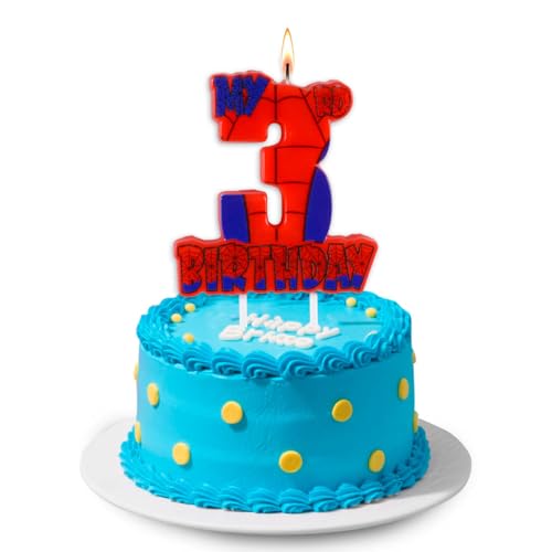Spider Birthday Party Decorations (Spider Web 3rd Candle)