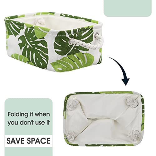 Organization and Storage Basket for Shelves (Banana Leaf / Small (Pack of 6))