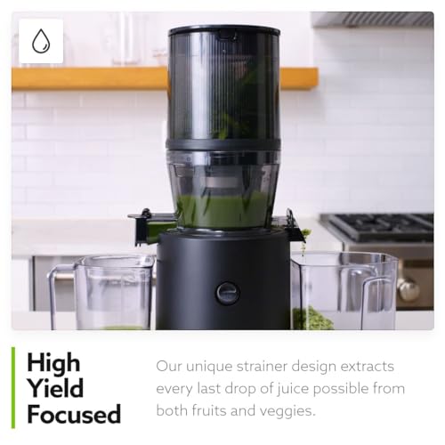 H320 Cold Press Juicer Machine (Black Slow Juicer)