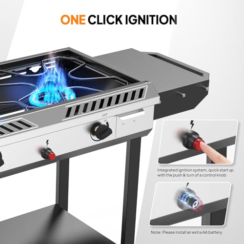 2 Burner Outdoor Propane Gas Stove with Auto (Flagship)