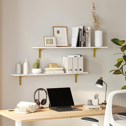 Long Wall Shelves (White and Gold / 47.3 Inch)