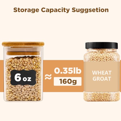 Glass Food Storage Jars Square 6oz (Square-6oz16pc)
