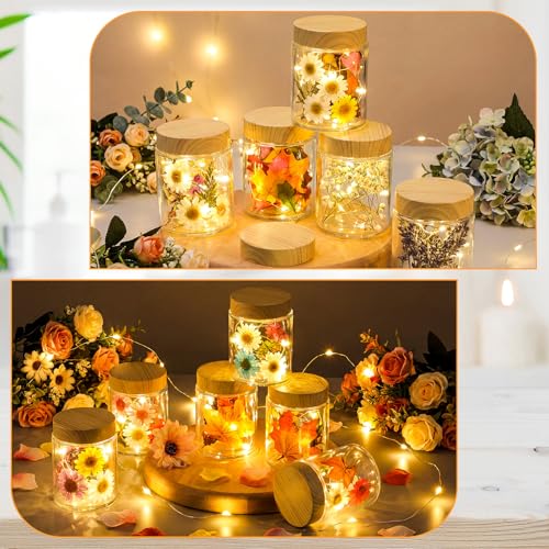 24 Pcs Glass Cosmetic Jars Empty (Natural Wood / 8 oz)