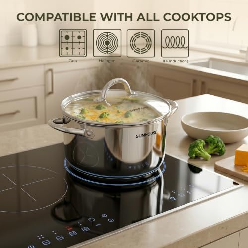 12 Quart Stock Pot with Lid
