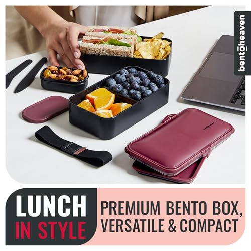 Bento Box Adult (Very Berry)