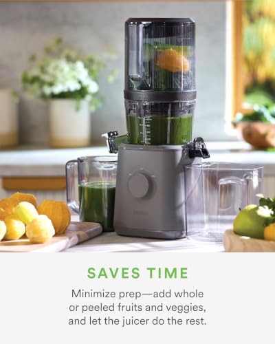 J2 Cold Press Juicer (Gray)