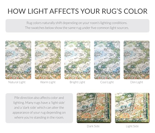 Monaco Accent Rug 2'2"x4' (2'2" x 4' (Rectangular) / Forest Green/Light Blue)