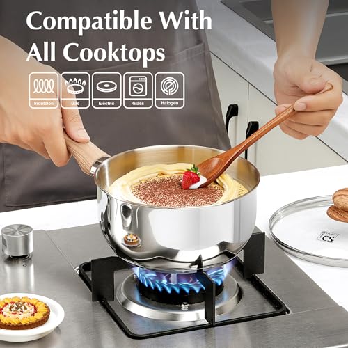 Stainless Steel Saucepan (3 Quarts)